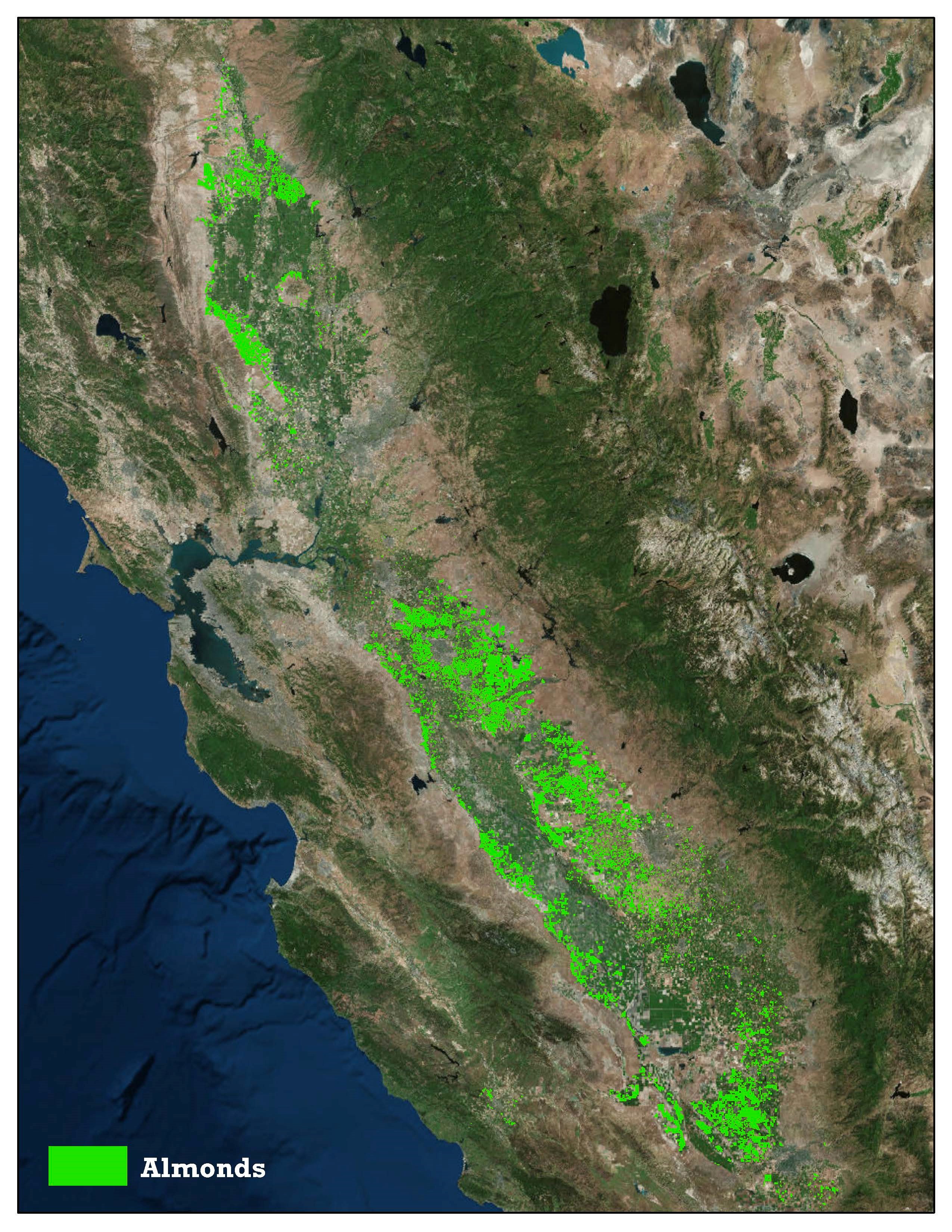 A Comprehensive, Living Map of California Almonds